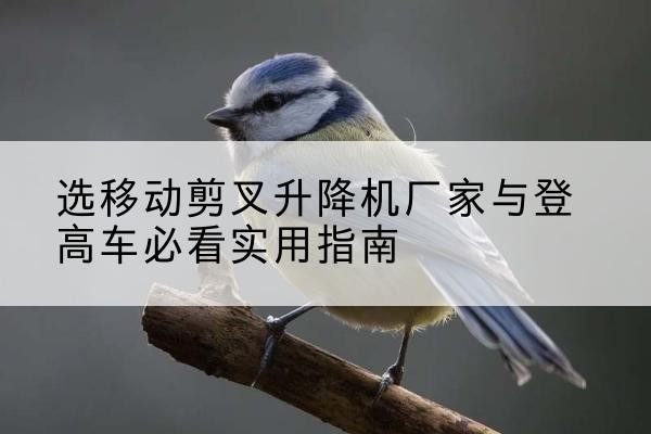麦盖提电动升降机厂家-选移动剪叉升降机厂家与登高车必看实用指南