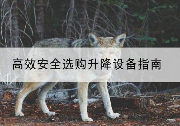 麦盖提升降货梯厂家推荐-*安全选购升降设备指南