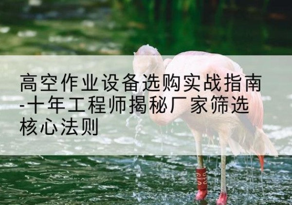 麦盖提剪叉式升降机厂家-高空作业设备选购实战指南-十年工程师揭秘厂家筛选核心法则